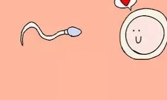 三代试管移植时间不再迷茫，各阶段耗时清晰明了！