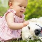 女性检查出黄体生成素偏高还能通过试管婴儿怀孕吗？