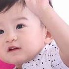 为什么中医不建议吃鹿胎粉速阅，什么样的人禁食均有答复