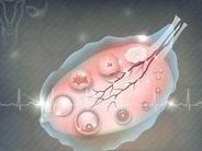 试管受精异常是什么情况引起的