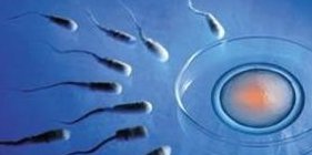 2026京山市最新男性陪产假有多少天？试管婴儿可以增加产假吗？