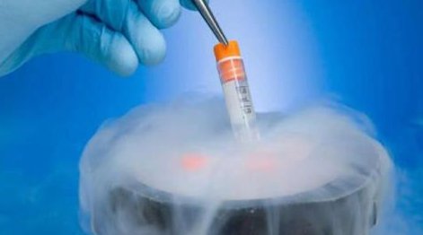 202医院做试管婴儿如何预约？202医院就医指南