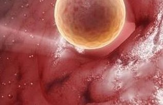 南昌私立试管婴儿机构靠谱吗？